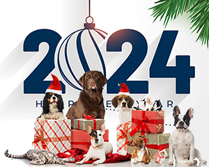 С Новым Годом 2024!